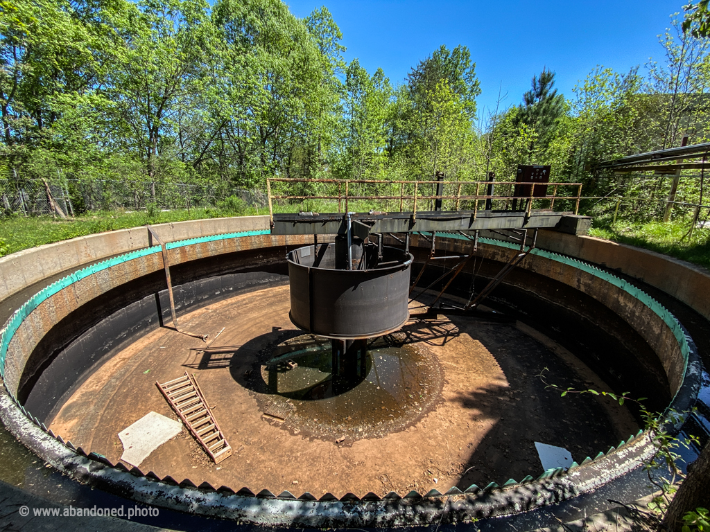 Yorkshires America Dye Plant