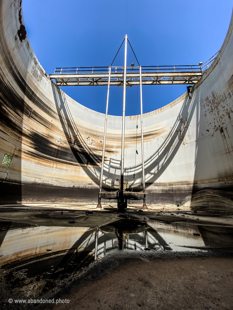 Yorkshires America Dye Plant