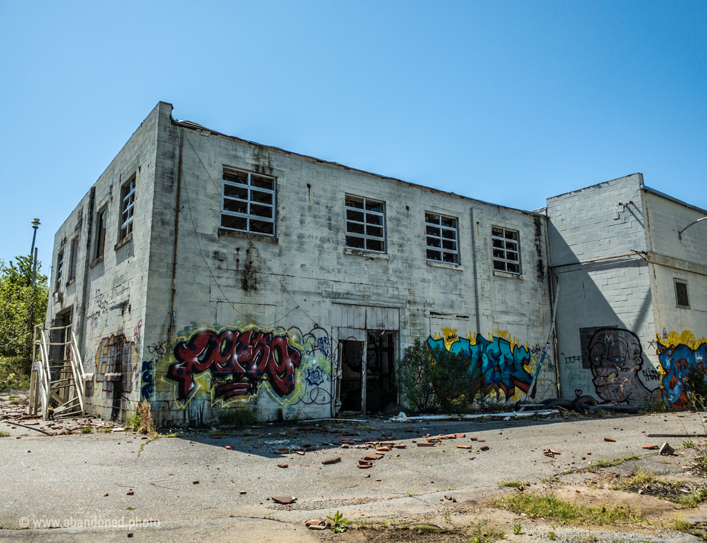 Yorkshires America Dye Plant