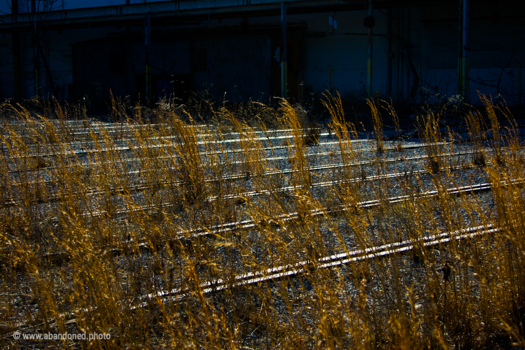 Knoxville Train Yard