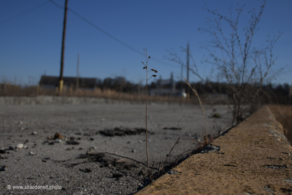 Knoxville Train Yard