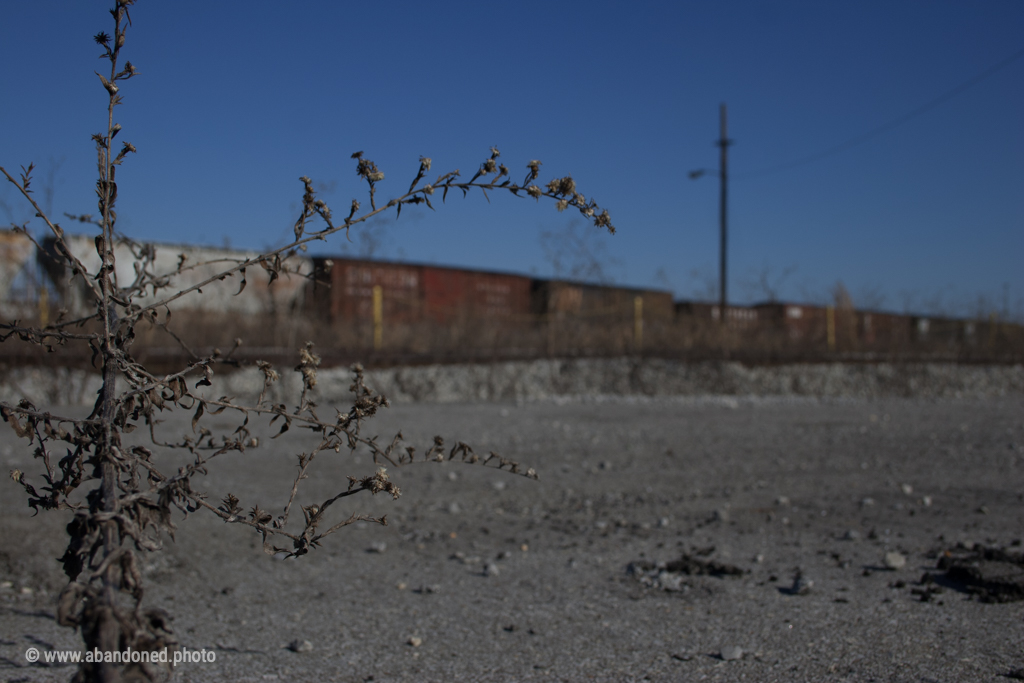 Knoxville Train Yard