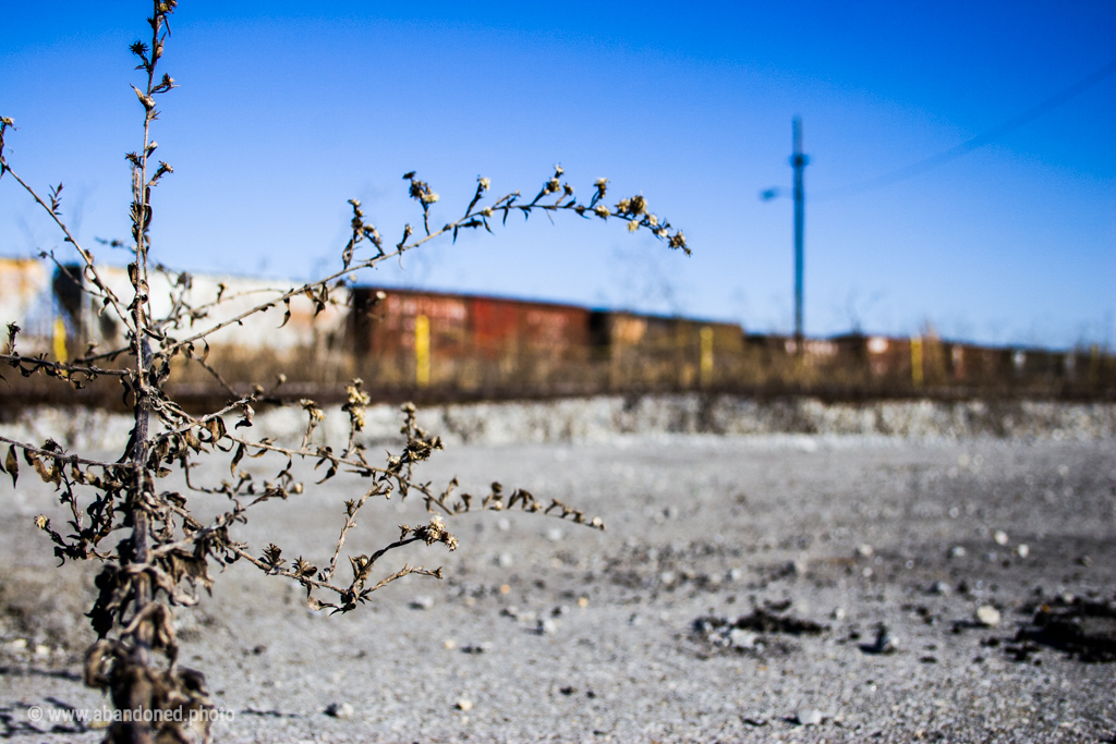 Knoxville Train Yard