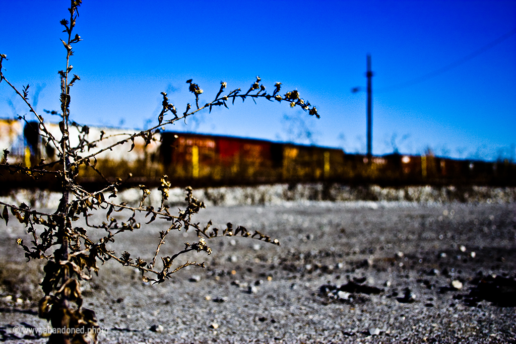 Knoxville Train Yard