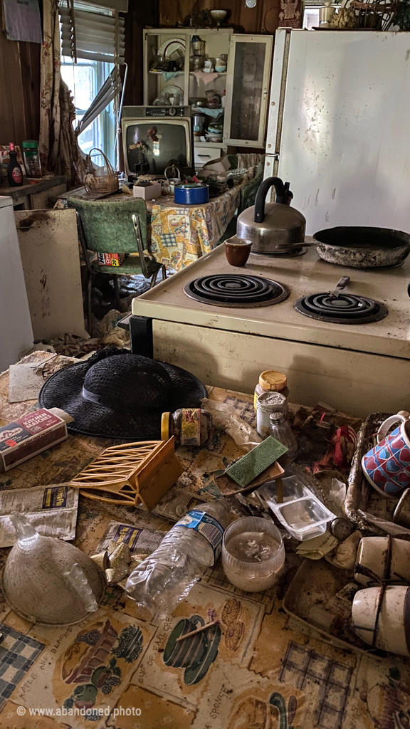 Abandoned Peak House