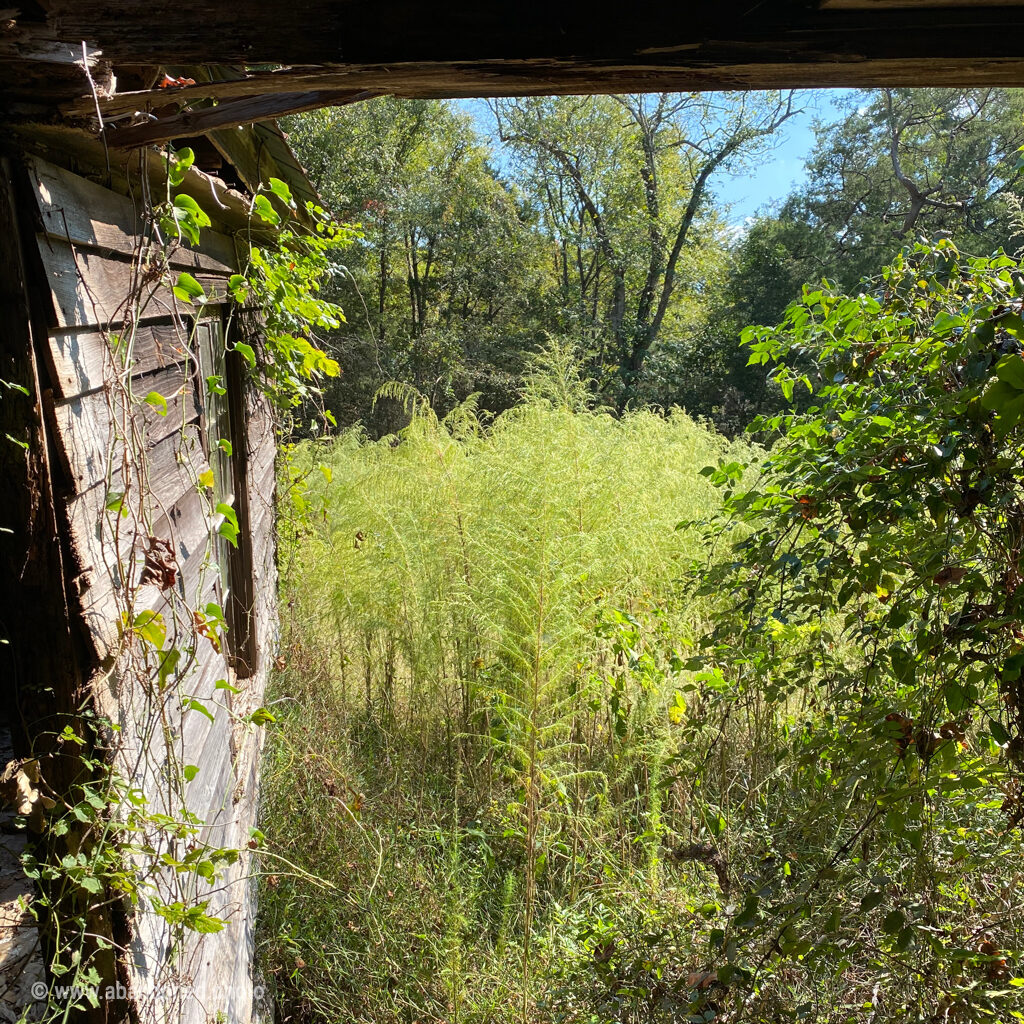 Abandoned Parr Farm House