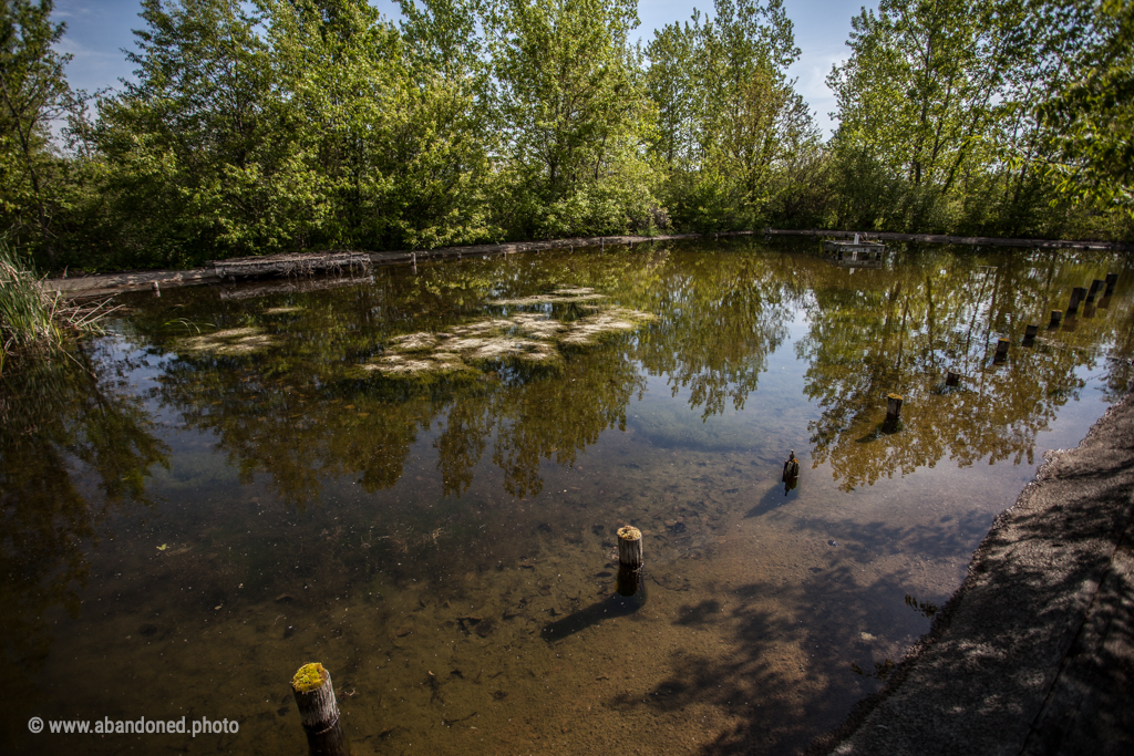 Abandoned Waterpark